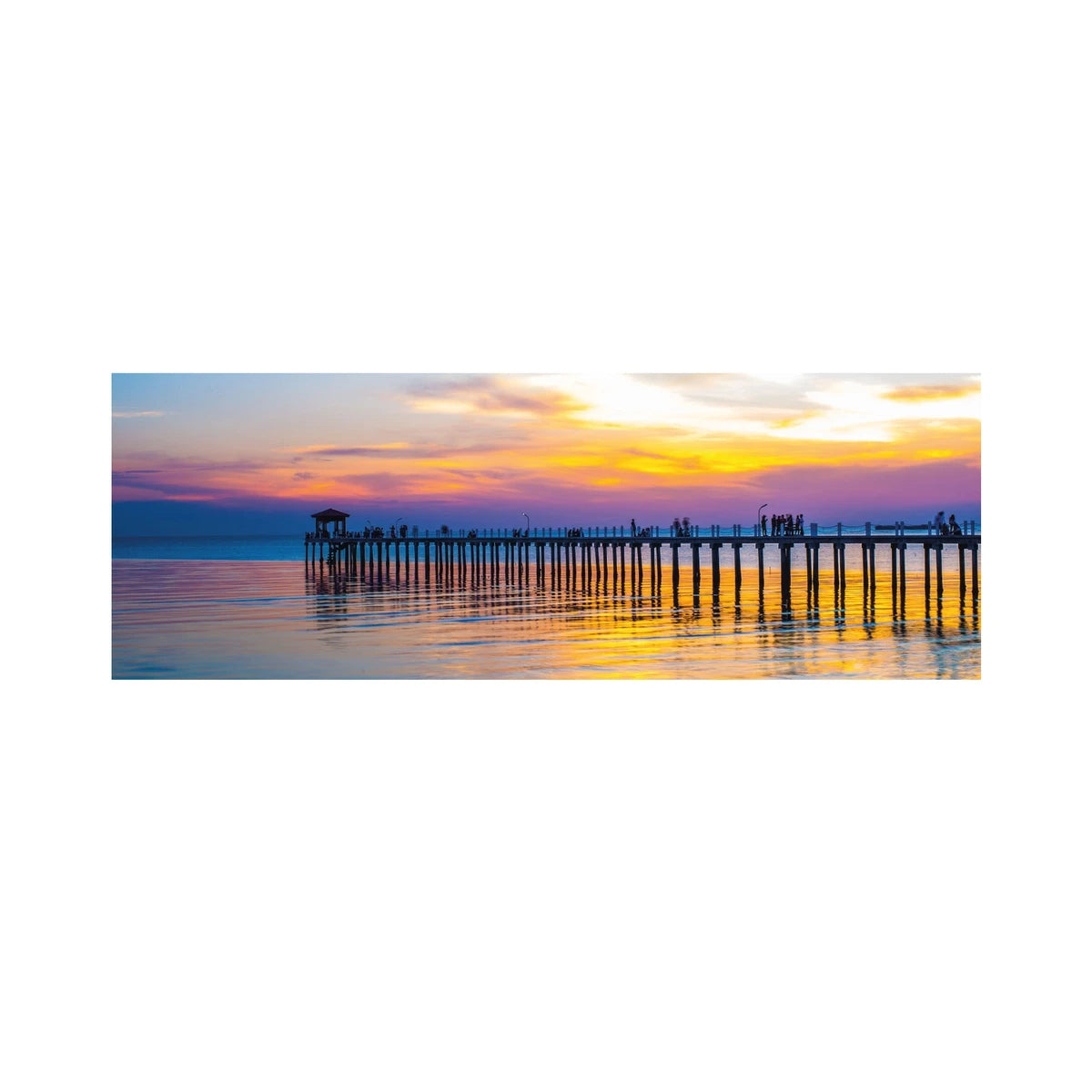 Dino panoraampusle 2000 tk: Tai laht 56212D