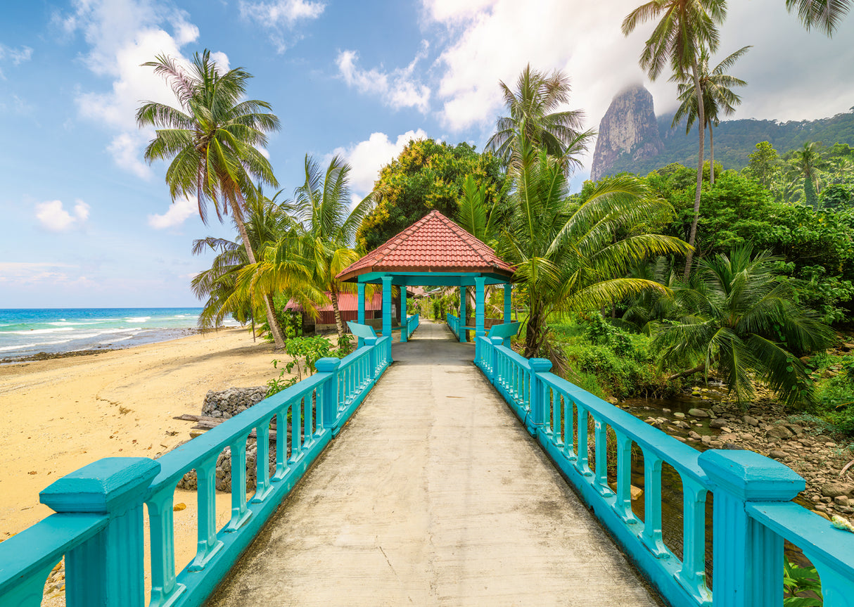 Ravensburger pusle 1000 tk: värviline rannatee Malaisias 12001766V