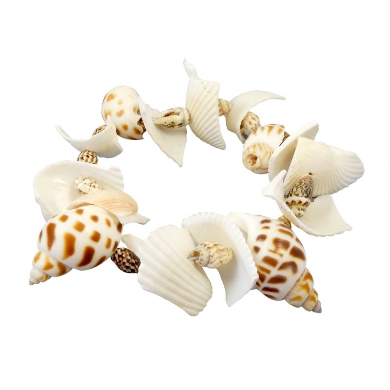 Buki Väljakaevatud merekarbid 441I