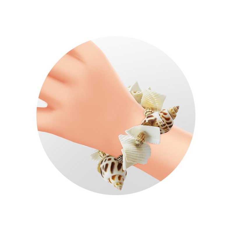 Buki Väljakaevatud merekarbid 441I