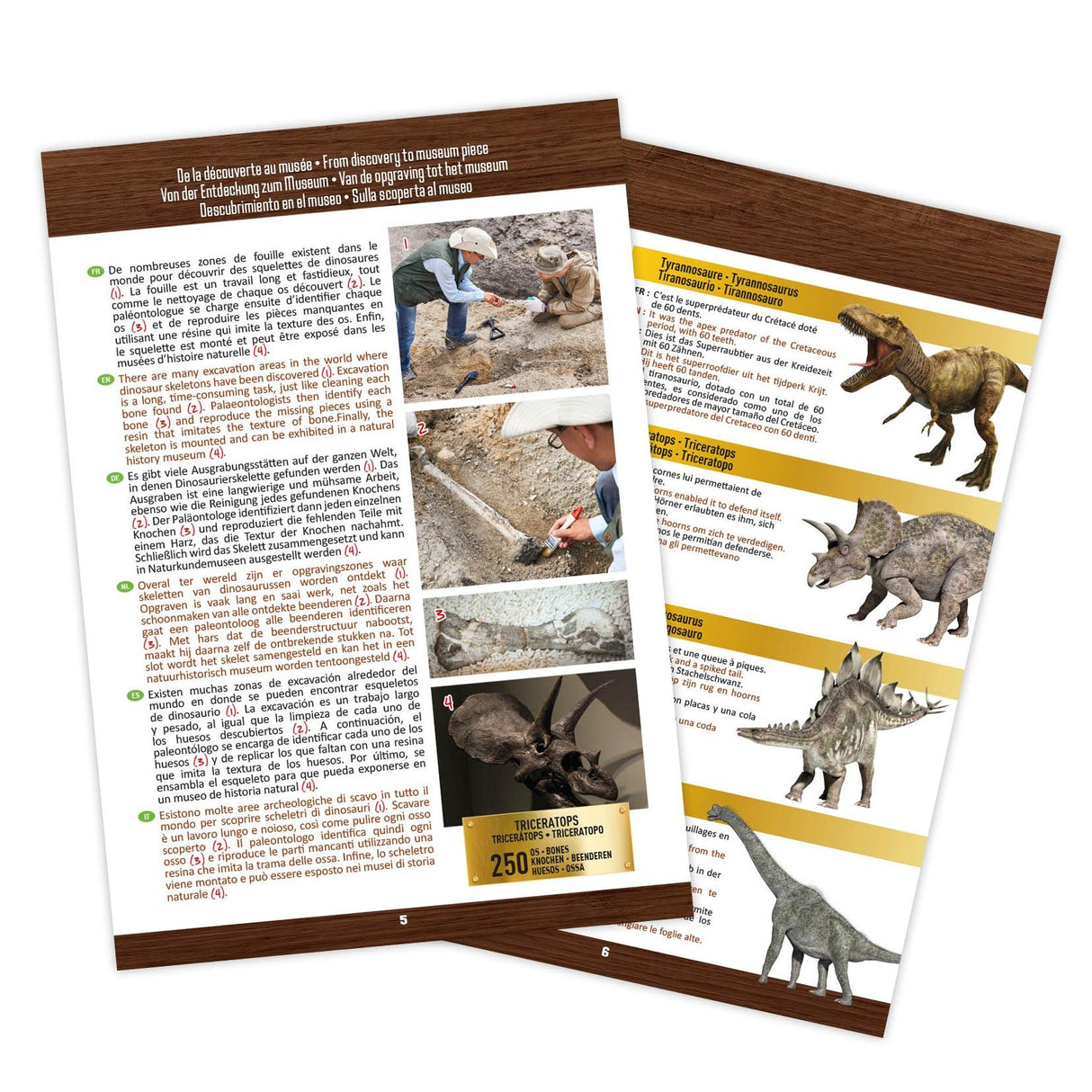 Buki Türannosauruse pealuu 2130I