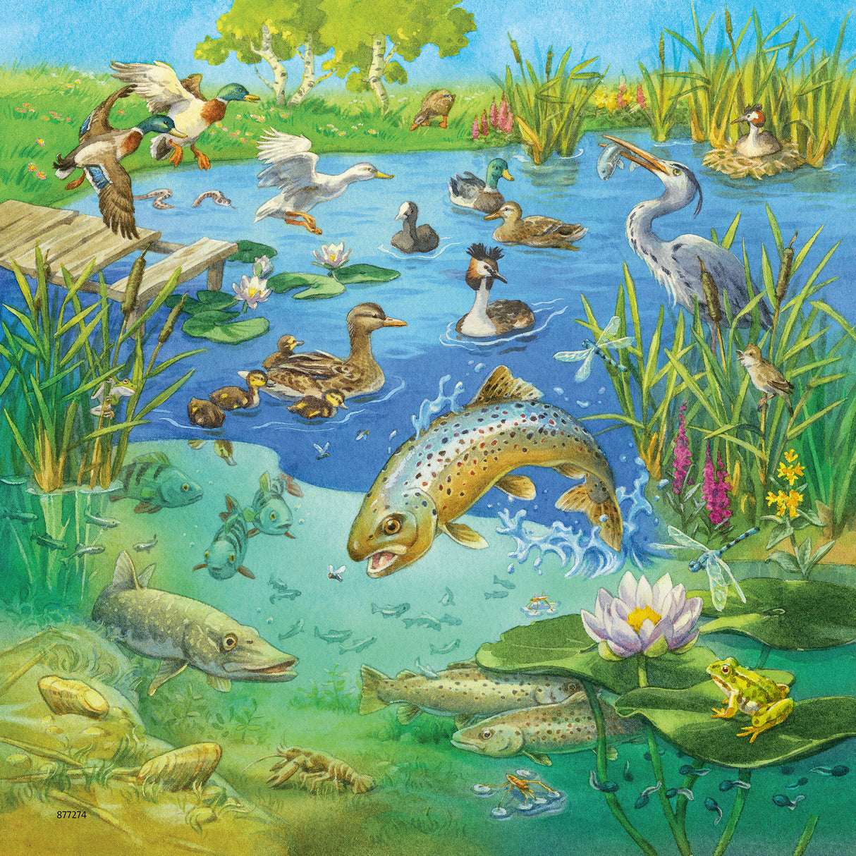 Ravensburger pusle 3x49 tk Metsloomad
080502V
