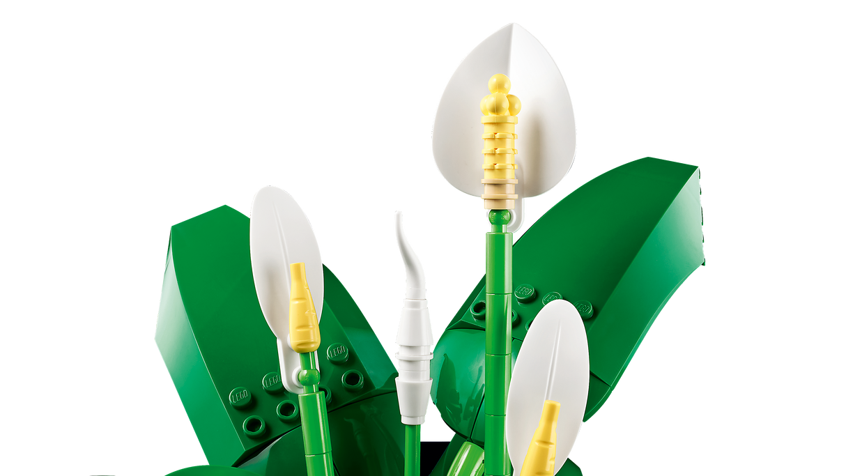 LEGO Botanicals Tõlvlehik 11504L