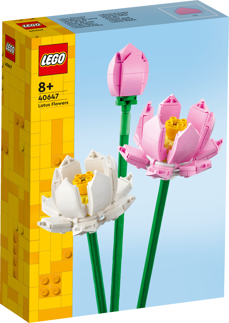 LEGO Lootoseõied 40647L