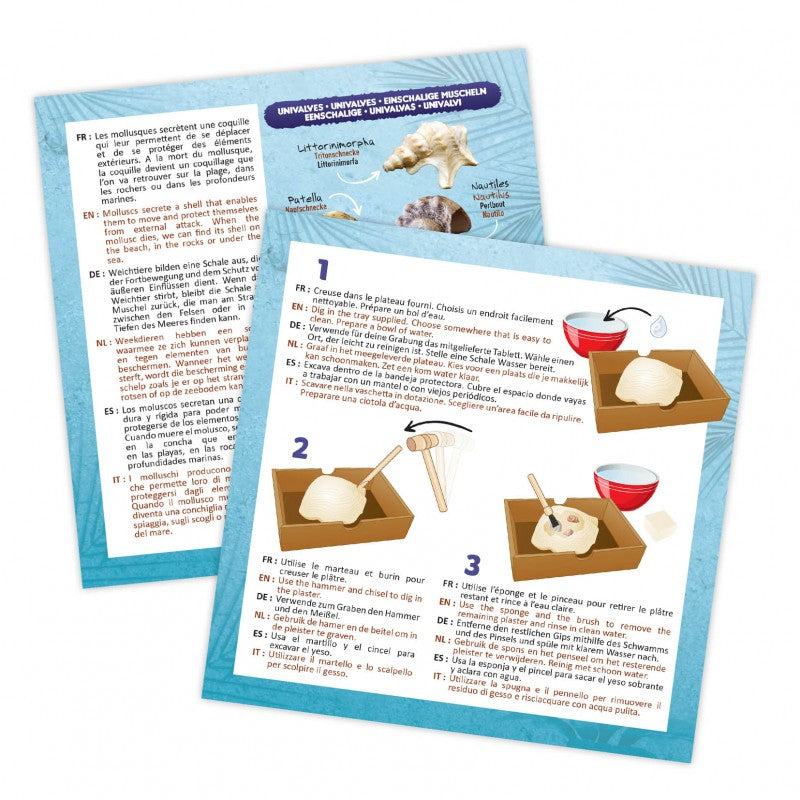 Buki Väljakaevatud merekarbid 441I