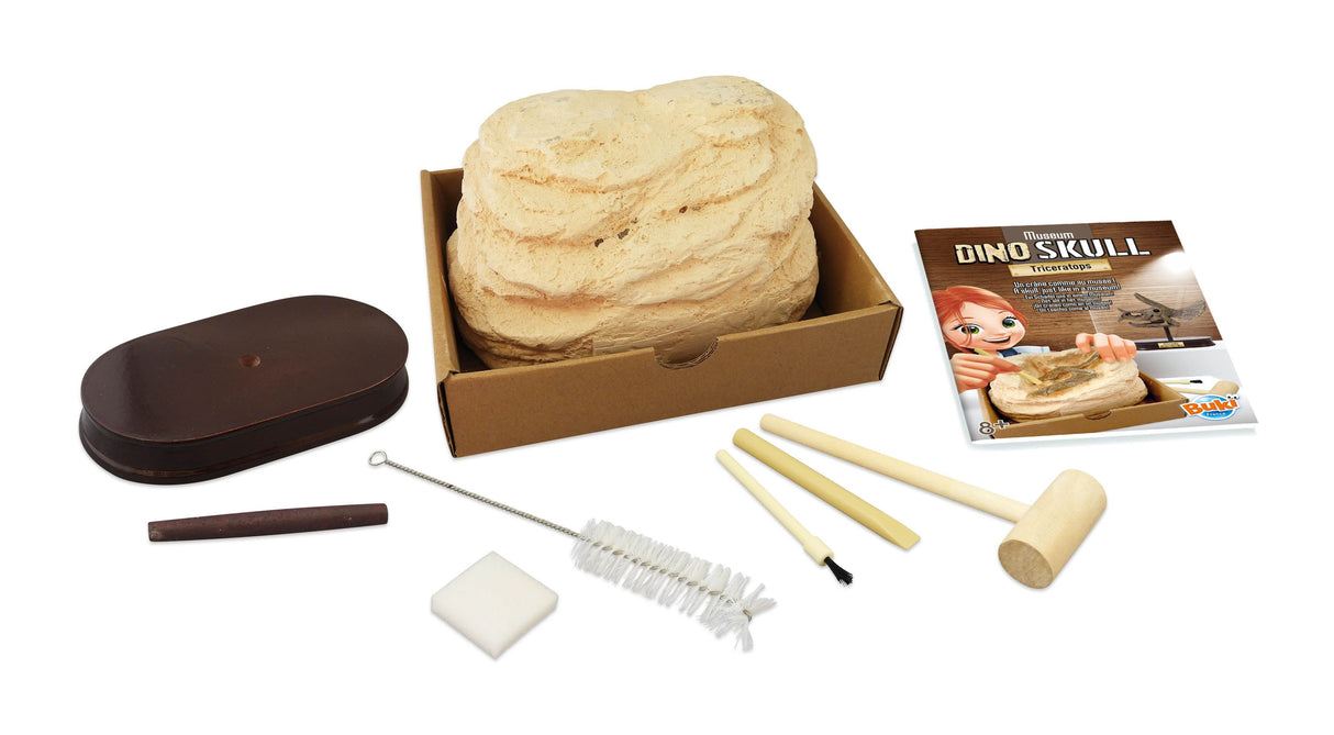 Buki Tritseeratopsisauruse pealuu 2131I