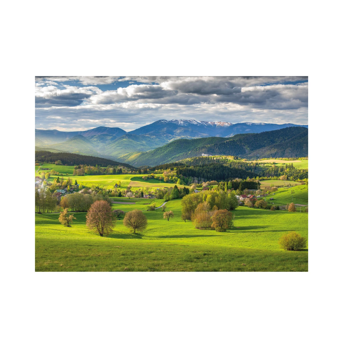 Dino pusle 3000 tk: kevad 56327D