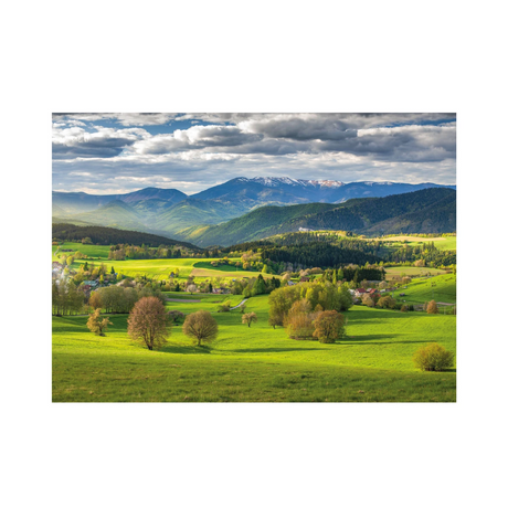 Dino pusle 3000 tk: kevad 56327D