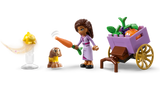 LEGO Disney Asha Rosase linnas 43223L