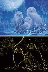 Ravensburger pimedas helendav pusle 500 tk: öökullid kuuvalgel 12000479V