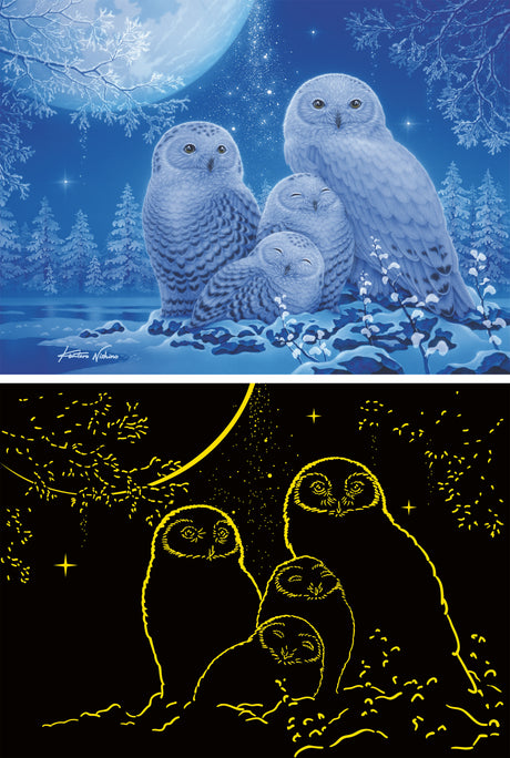 Ravensburger pimedas helendav pusle 500 tk: öökullid kuuvalgel 12000479V