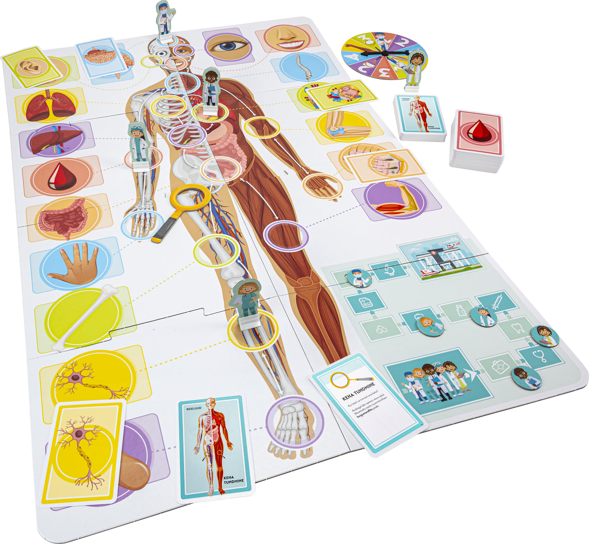 Tactic lauamäng: õpime tundma oma imelist keha 60865T