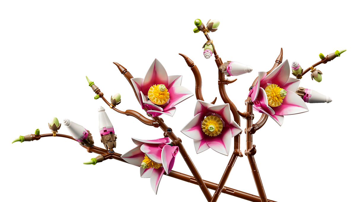 LEGO Botanicals Magnooliaoksad 11510L