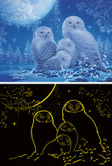 Ravensburger pimedas helendav pusle 500 tk: öökullid kuuvalgel 12000479V