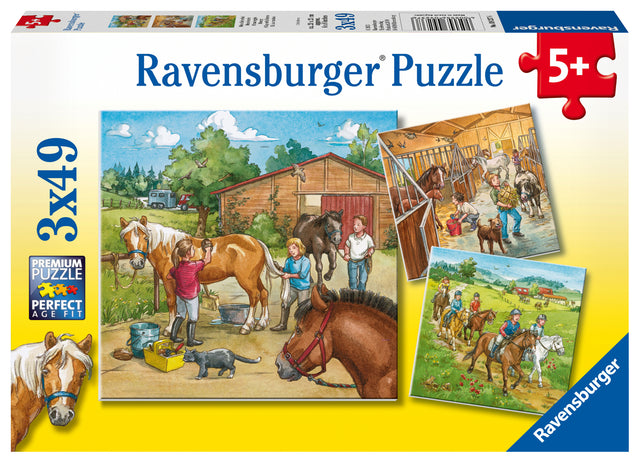 Ravensburger pusle 3x49 tk Päev hobustega 092376V