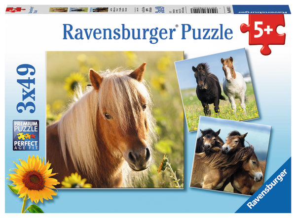 Ravensburger pusle 3x49 tk: Armsad hobused
 080113V