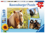 Ravensburger pusle 3x49 tk: Armsad hobused
 080113V