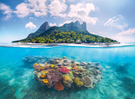 Ravensburger pusle 500 tk: korallid 12001798V