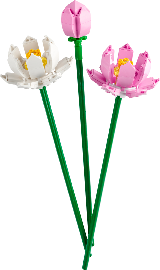 LEGO Lootoseõied 40647L