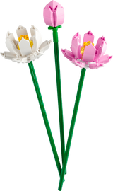 LEGO Lootoseõied 40647L