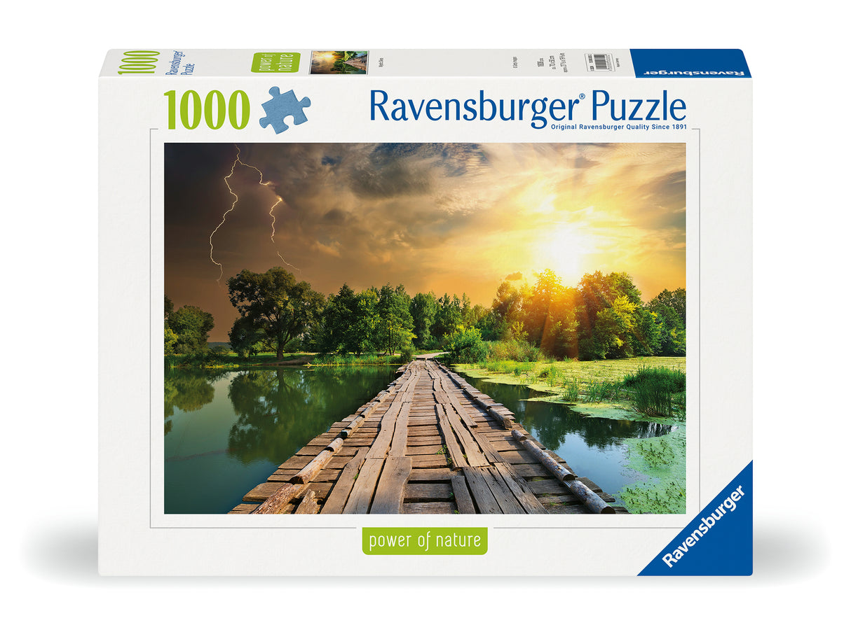 Ravensburger pusle 1000 tk: müstiline taevas 12000305V