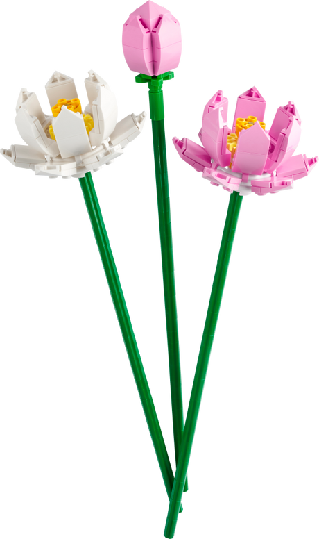 LEGO Lootoseõied 40647L