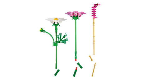LEGO Botanicals Kosmoseõied 11514L