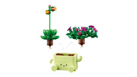 LEGO Botanicals Kiikuvad taimed 11506L